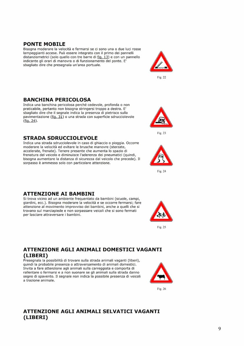 
<p>Il manuale di teoria per le patenti A &amp; B offre una raccolta esauriente di definizioni stradali e di traffico, fondamentali per comp