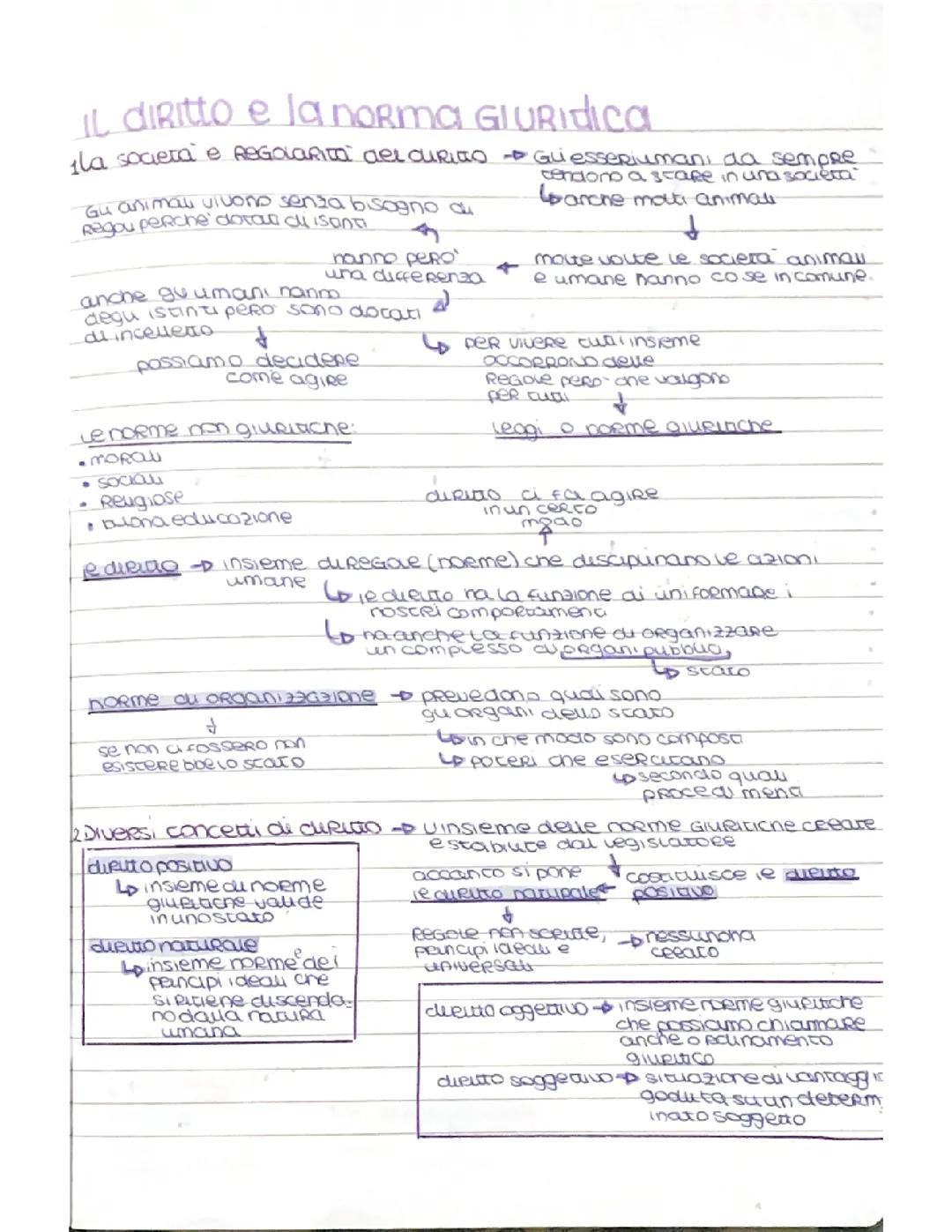 Il diritto e la norma giuridica 