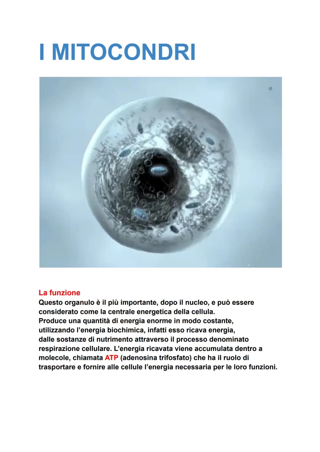 I Mitocondri 