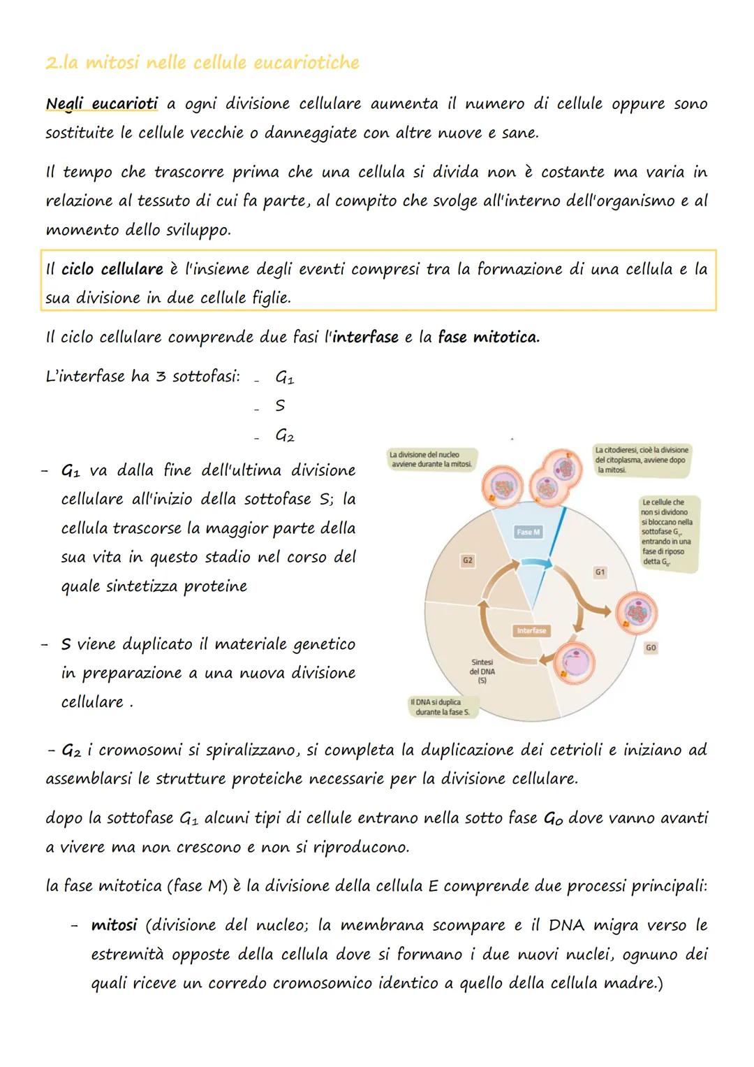 # La divisione e la riproduzione

## cellulare

1. la divisione cellulare nei procarioti e negli eucarioti

La divisione cellulare è il proc