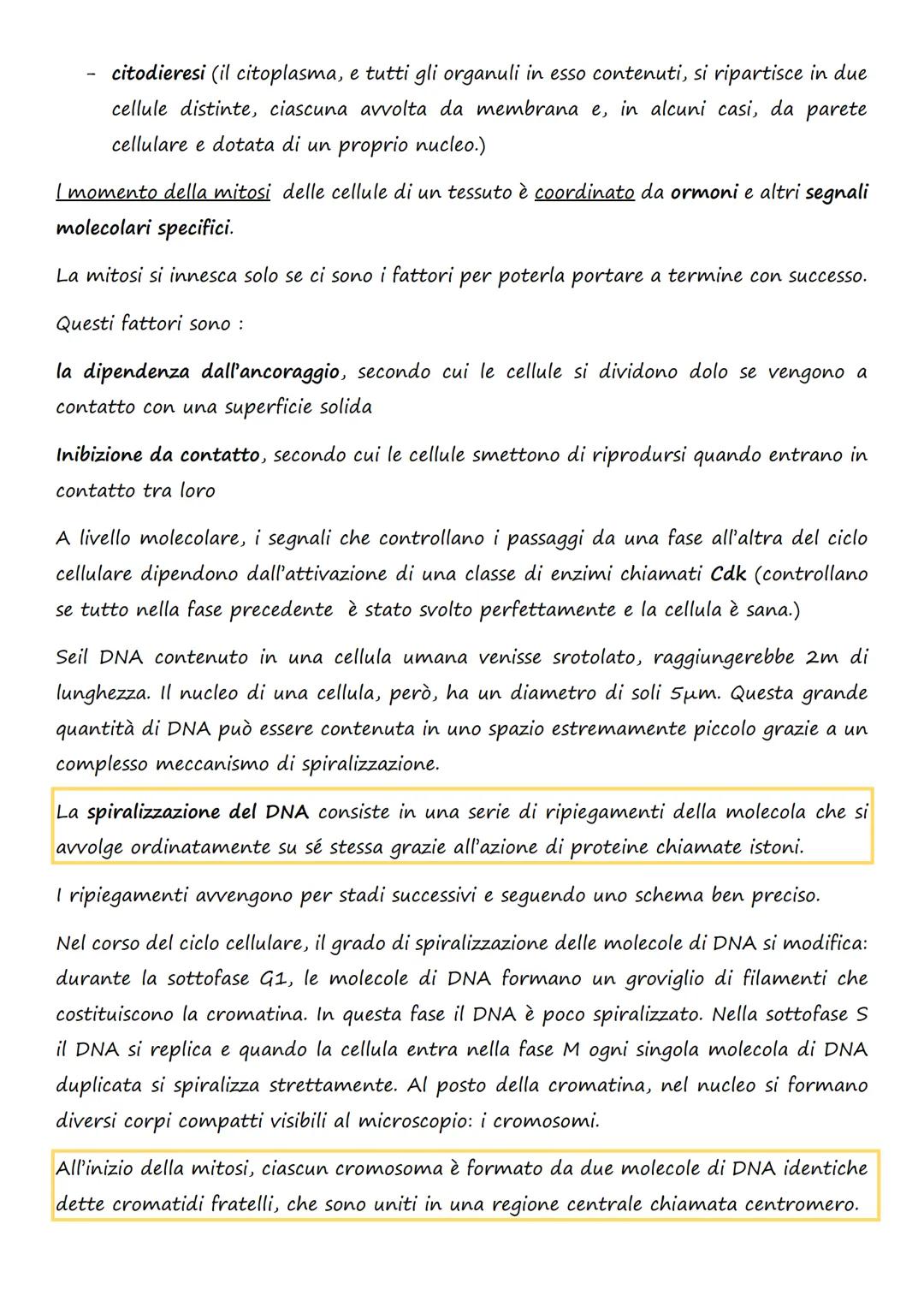 # La divisione e la riproduzione

## cellulare

1. la divisione cellulare nei procarioti e negli eucarioti

La divisione cellulare è il proc