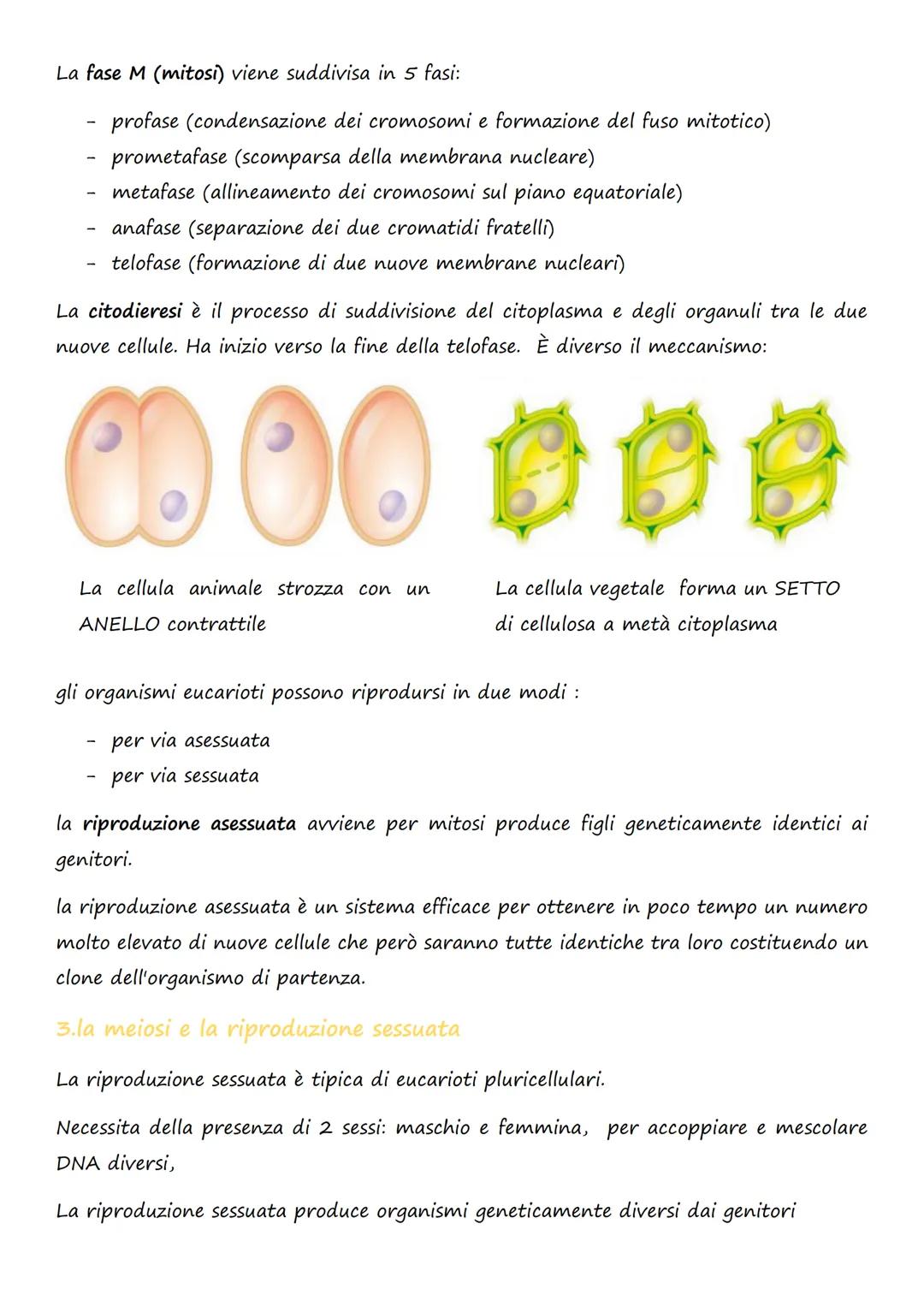 # La divisione e la riproduzione

## cellulare

1. la divisione cellulare nei procarioti e negli eucarioti

La divisione cellulare è il proc