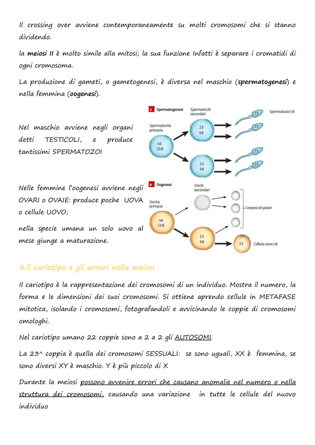 # La divisione e la riproduzione

## cellulare

1. la divisione cellulare nei procarioti e negli eucarioti

La divisione cellulare è il proc