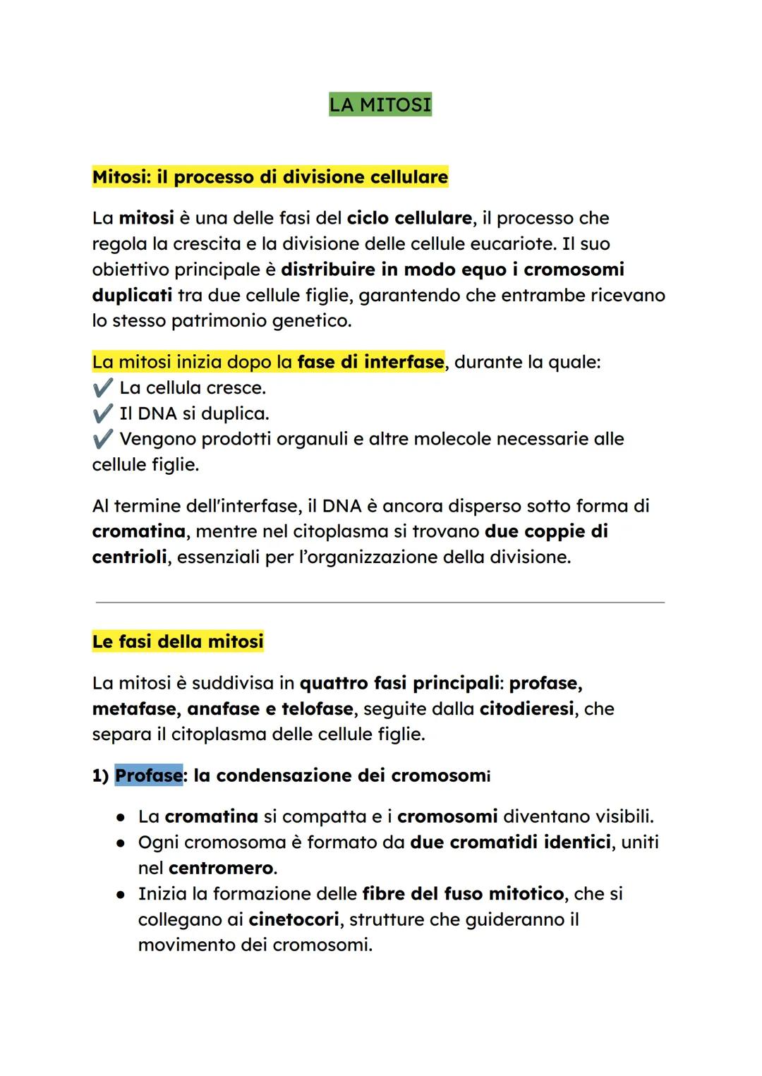 # LA MITOSI

**Mitosi: il processo cesso di divisione cellulare**

La mitosi è una delle fasi del ciclo cellulare, il processo che
regola la
