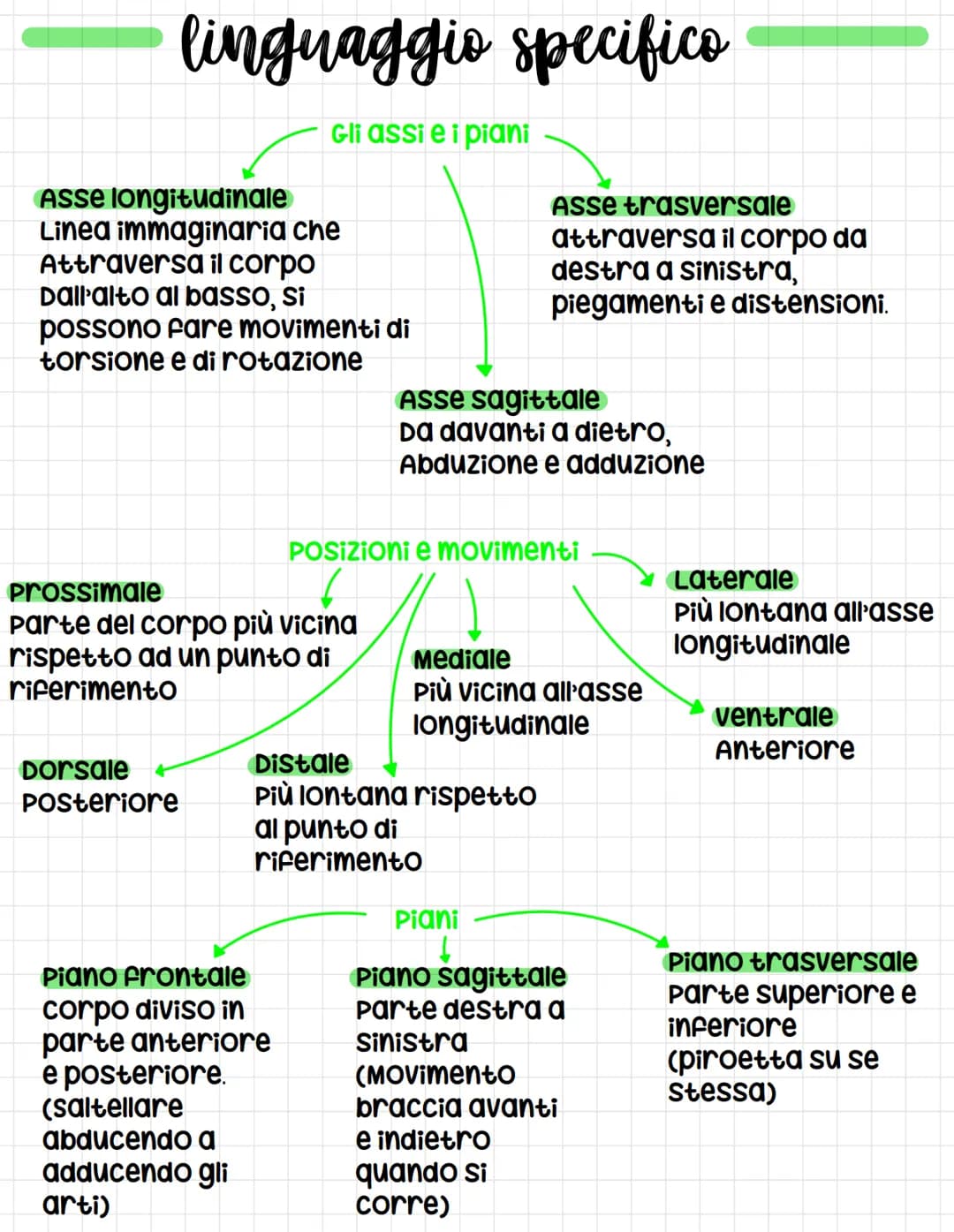 linguaggio specifico
Gli assi e i piani
Asse longitudinale
Linea immaginaria che
Attraversa il corpo
Dall'alto al basso, si
possono fare mov