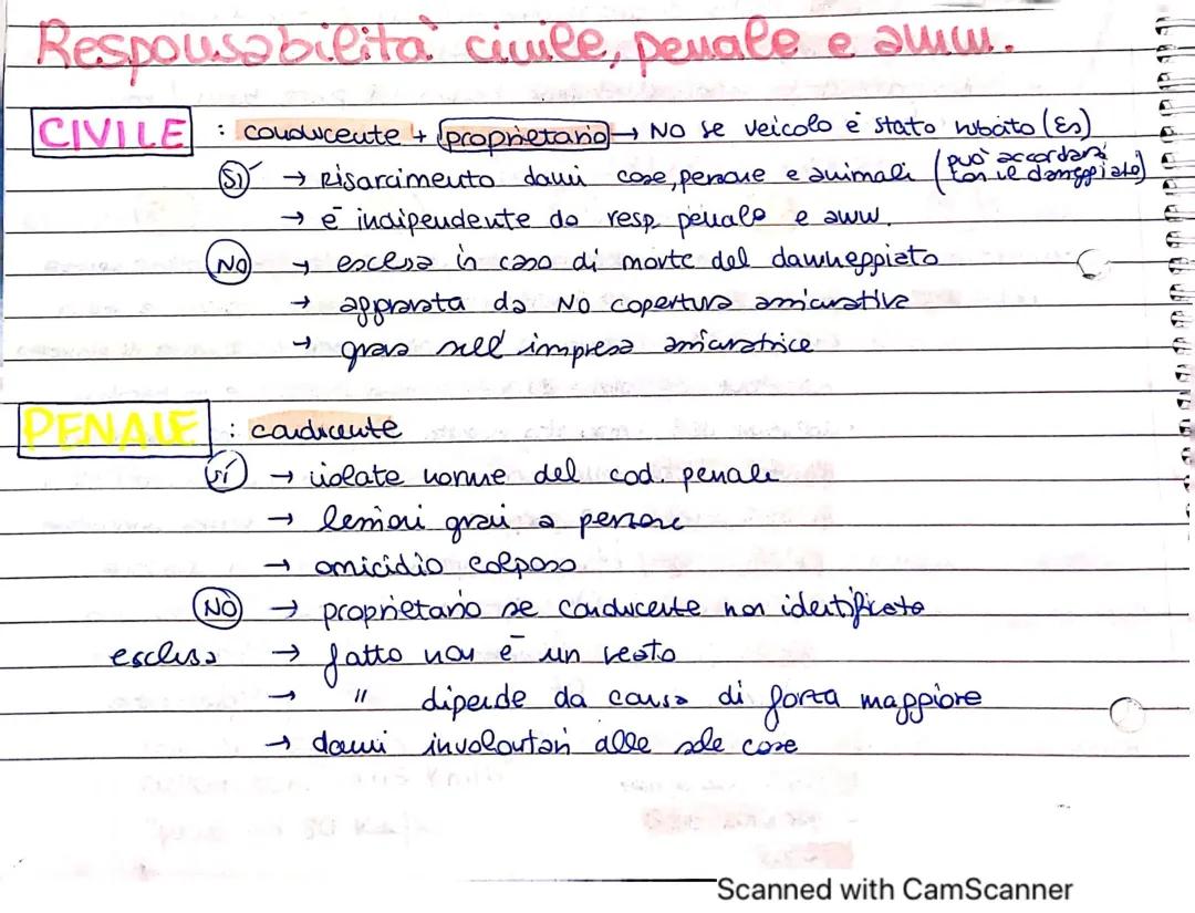 Teoria Patente di Guida: Concetti Chiave Spiegati Semplicemente