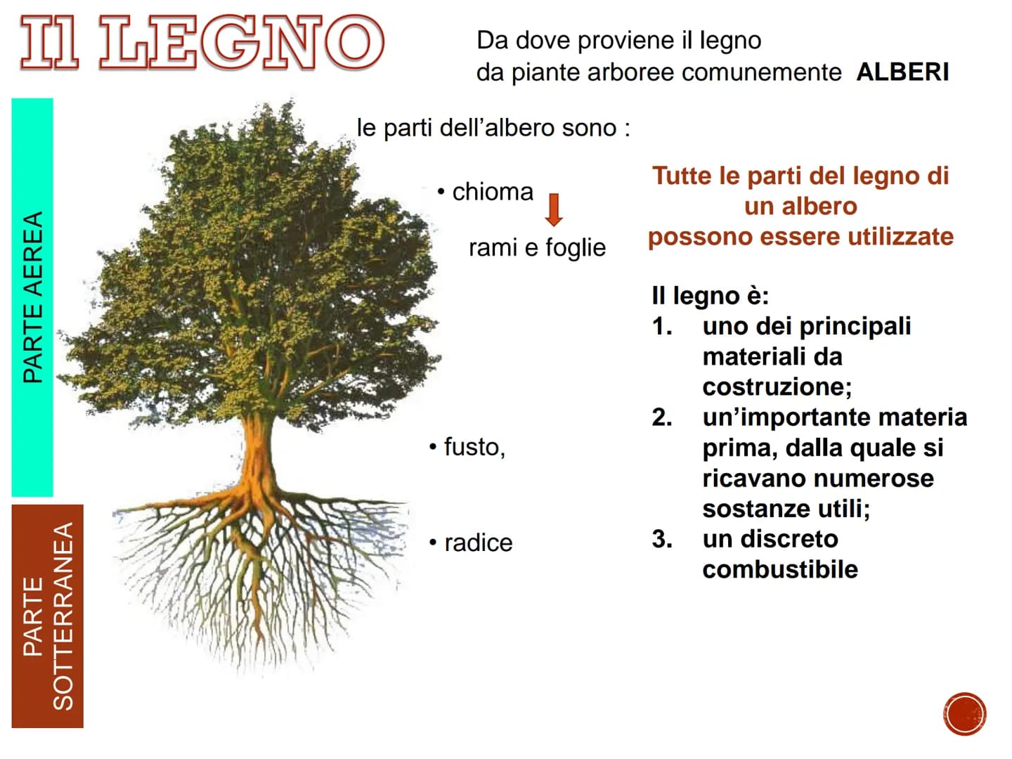 IL LEGNO
TECNOLOGIA - CONOSCENZA DEI MATERIALI PRIMARI
Quaderno di tecnologia - classe prima
Istituto Comprensivo Statale "Giuseppe Catalfam