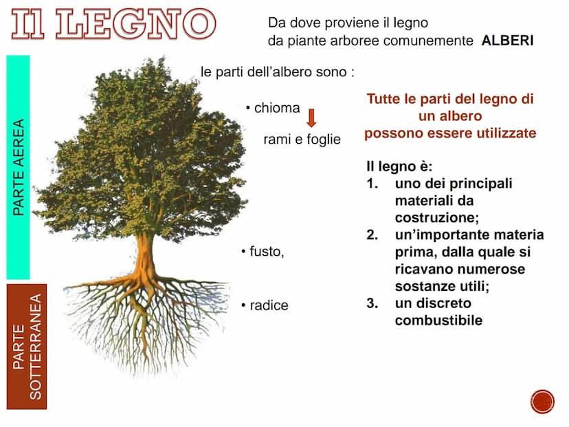 IL LEGNO
TECNOLOGIA - CONOSCENZA DEI MATERIALI PRIMARI
Quaderno di tecnologia - classe prima
Istituto Comprensivo Statale "Giuseppe Catalfam