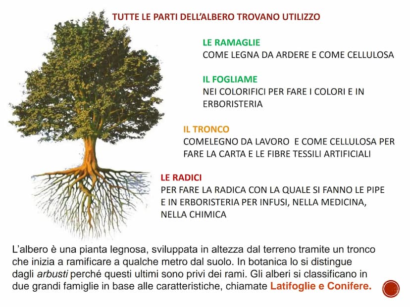 IL LEGNO
TECNOLOGIA - CONOSCENZA DEI MATERIALI PRIMARI
Quaderno di tecnologia - classe prima
Istituto Comprensivo Statale "Giuseppe Catalfam