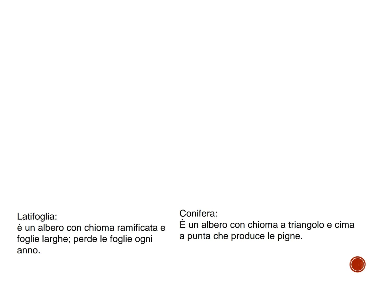 IL LEGNO
TECNOLOGIA - CONOSCENZA DEI MATERIALI PRIMARI
Quaderno di tecnologia - classe prima
Istituto Comprensivo Statale "Giuseppe Catalfam