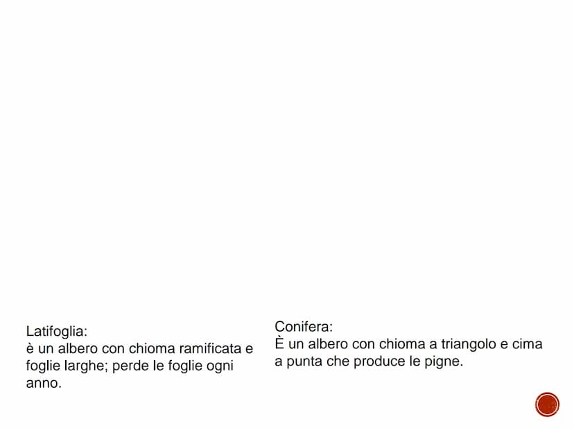 IL LEGNO
TECNOLOGIA - CONOSCENZA DEI MATERIALI PRIMARI
Quaderno di tecnologia - classe prima
Istituto Comprensivo Statale "Giuseppe Catalfam