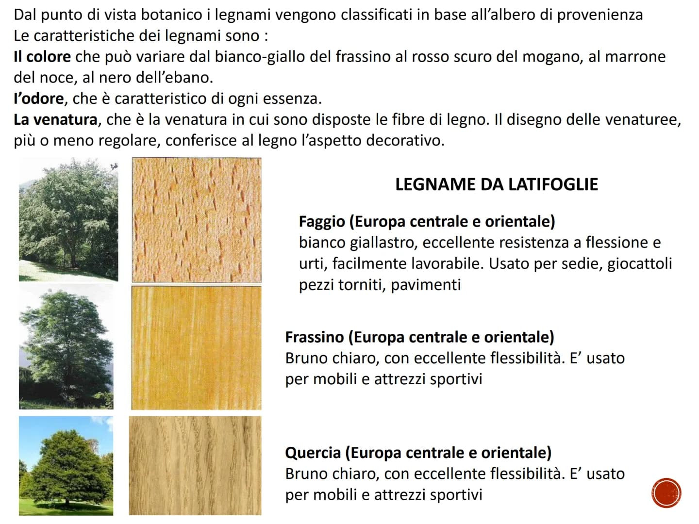 IL LEGNO
TECNOLOGIA - CONOSCENZA DEI MATERIALI PRIMARI
Quaderno di tecnologia - classe prima
Istituto Comprensivo Statale "Giuseppe Catalfam