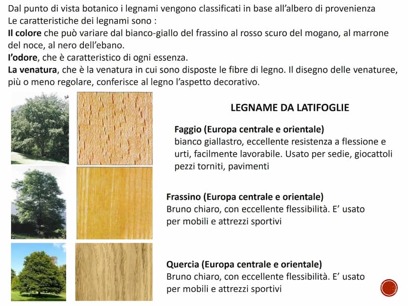 IL LEGNO
TECNOLOGIA - CONOSCENZA DEI MATERIALI PRIMARI
Quaderno di tecnologia - classe prima
Istituto Comprensivo Statale "Giuseppe Catalfam
