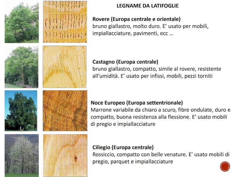IL LEGNO
TECNOLOGIA - CONOSCENZA DEI MATERIALI PRIMARI
Quaderno di tecnologia - classe prima
Istituto Comprensivo Statale "Giuseppe Catalfam