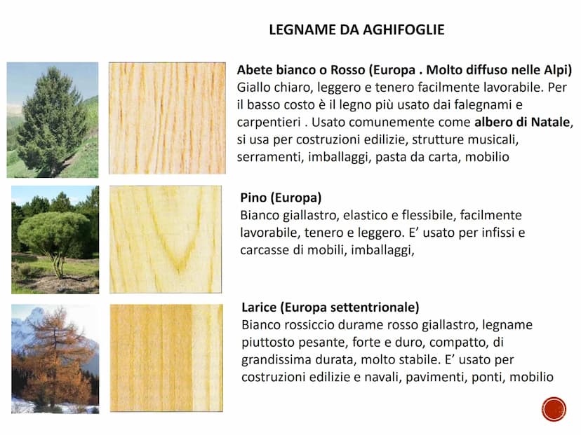 IL LEGNO
TECNOLOGIA - CONOSCENZA DEI MATERIALI PRIMARI
Quaderno di tecnologia - classe prima
Istituto Comprensivo Statale "Giuseppe Catalfam