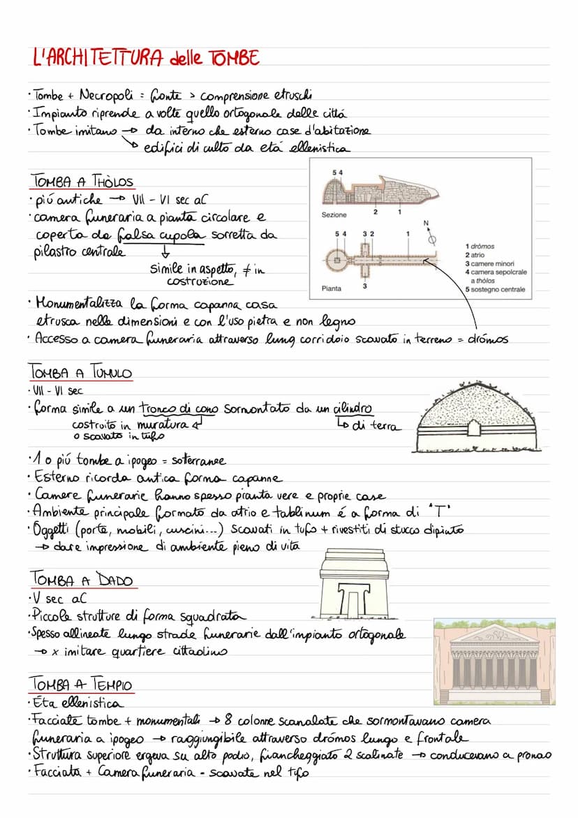 Il tempio greco dorico
Cornice Timpano
Trabeazione
Fregio
Capitello
Metopa
Triglifo
Architrave
Crepidoma
Stilobate
Frontone
Pronao
IL TEMPIO