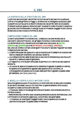 Know DNA,mRna,tRna: duplicazione, replicazione e trascrizione  thumbnail