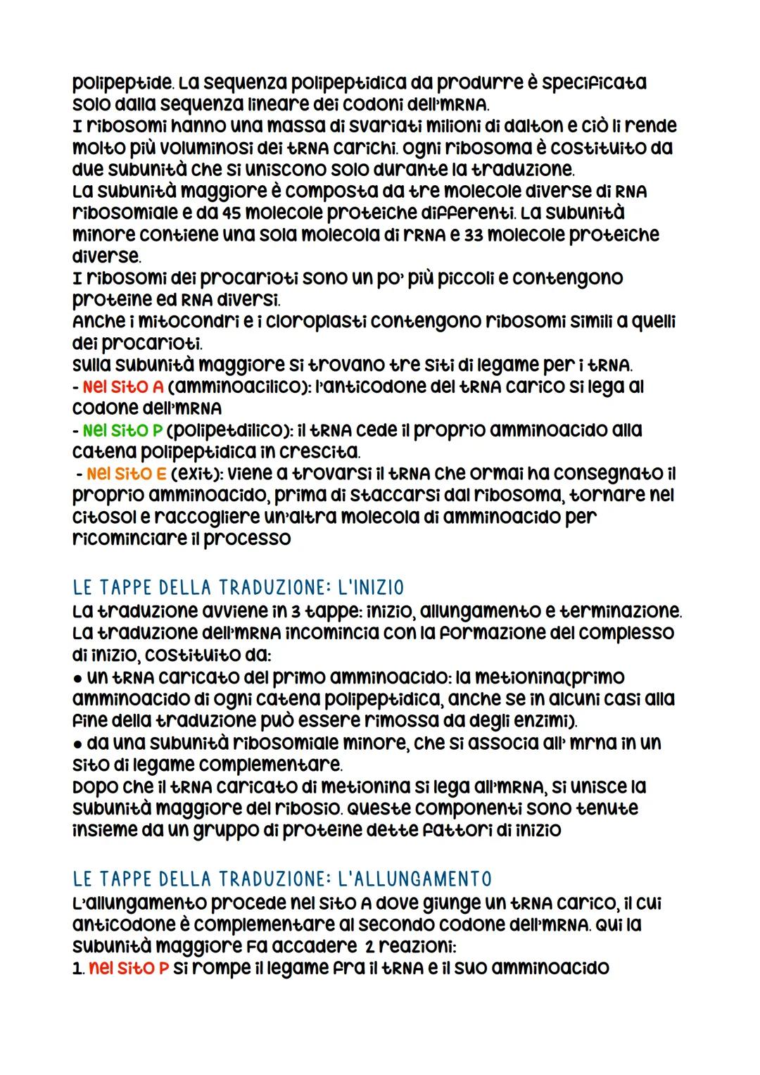 IL DNA
LA SCOPERTA DELLA STRUTTURA DEL DNA
La prova decisiva per decifrare la struttura del DNA FU Ottenuta
con la cristallografia a raggi x