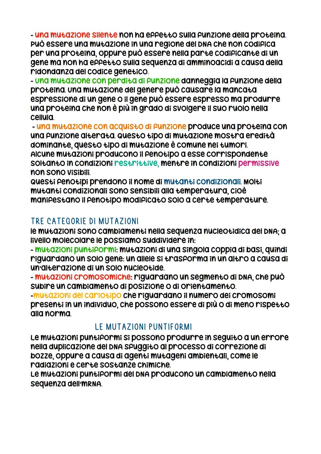 IL DNA
LA SCOPERTA DELLA STRUTTURA DEL DNA
La prova decisiva per decifrare la struttura del DNA FU Ottenuta
con la cristallografia a raggi x