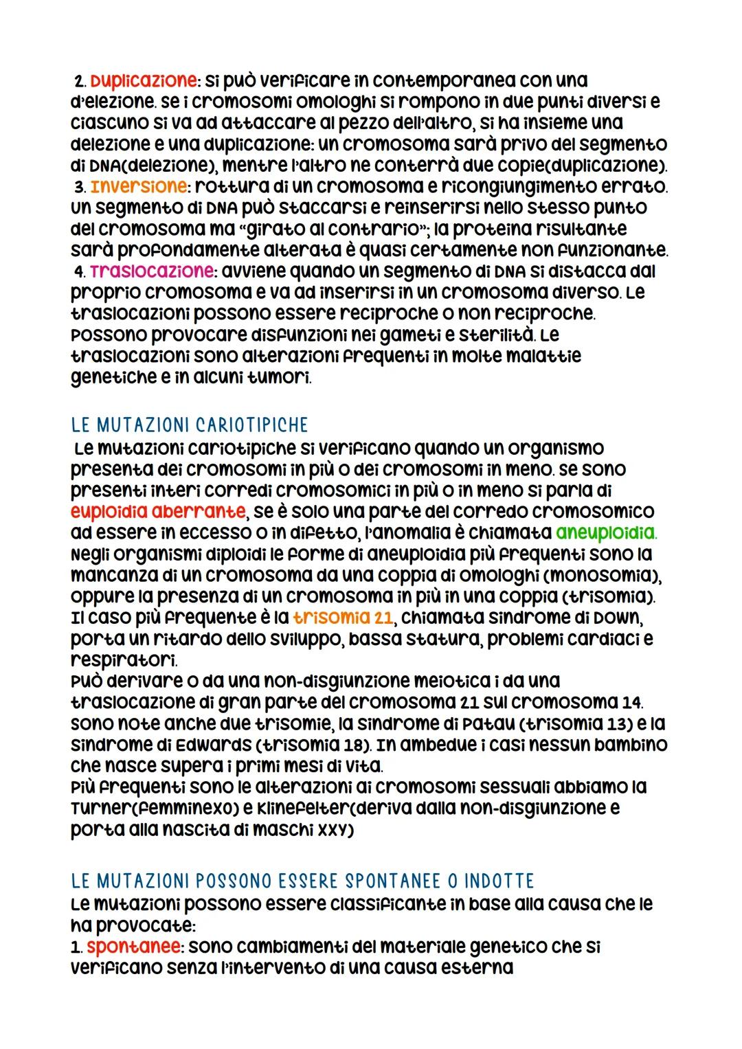 IL DNA
LA SCOPERTA DELLA STRUTTURA DEL DNA
La prova decisiva per decifrare la struttura del DNA FU Ottenuta
con la cristallografia a raggi x