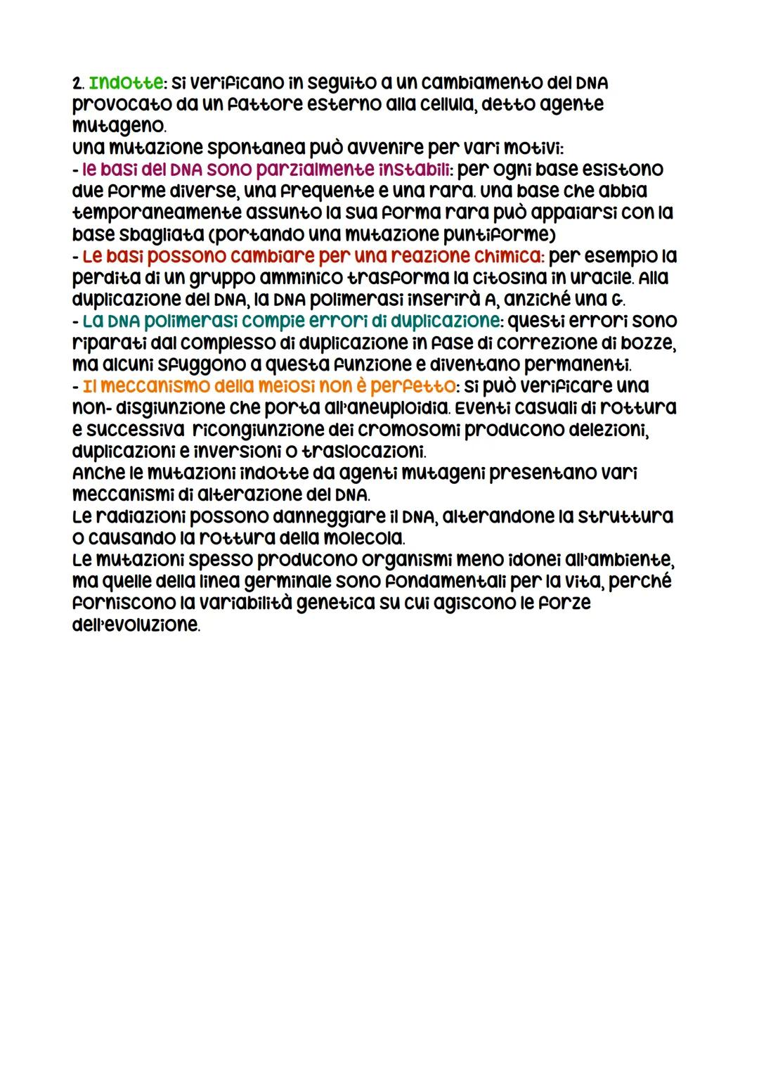 IL DNA
LA SCOPERTA DELLA STRUTTURA DEL DNA
La prova decisiva per decifrare la struttura del DNA FU Ottenuta
con la cristallografia a raggi x