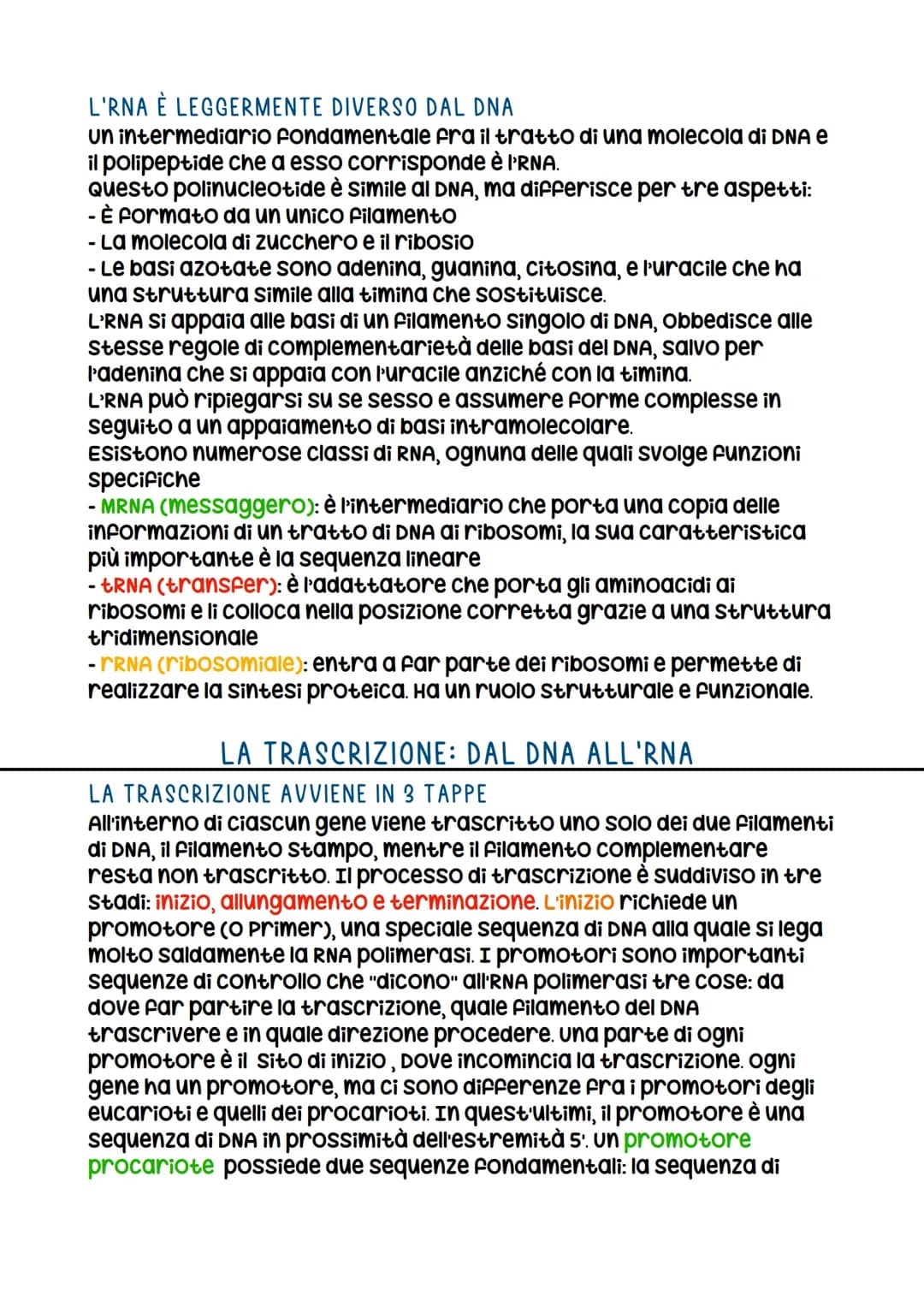 IL DNA
LA SCOPERTA DELLA STRUTTURA DEL DNA
La prova decisiva per decifrare la struttura del DNA FU Ottenuta
con la cristallografia a raggi x