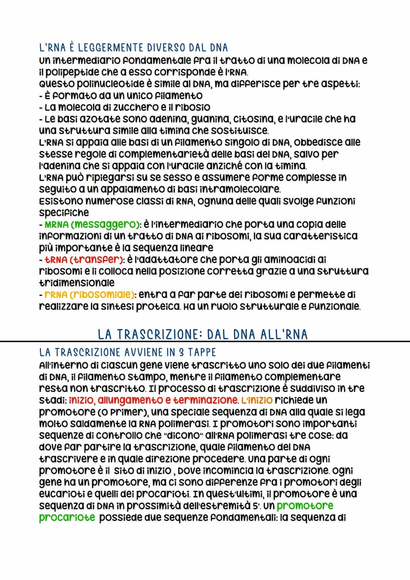 IL DNA
LA SCOPERTA DELLA STRUTTURA DEL DNA
La prova decisiva per decifrare la struttura del DNA FU Ottenuta
con la cristallografia a raggi x