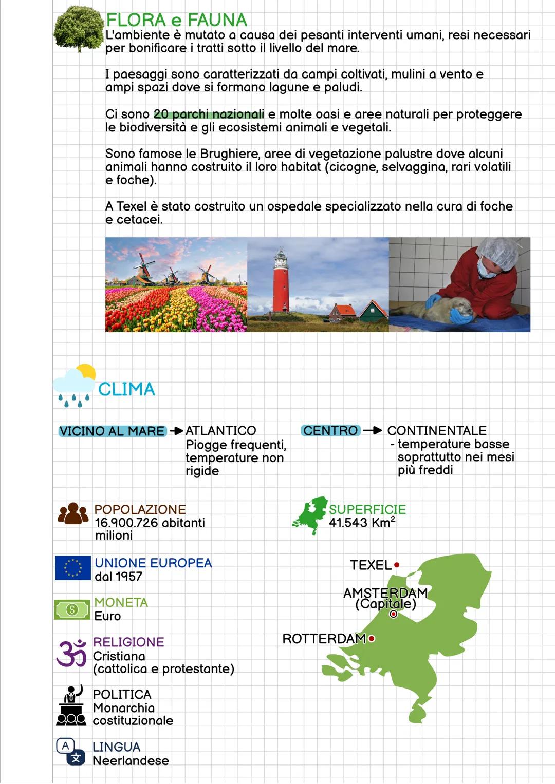 REGIONE FRANCESE
E' situata nell'area centro-occidentale dell'Europa
NORD
MARE
del NORD
OVEST
Oceano
Atlantico
Dov'è?
Spagna e Andorra
OCEAN