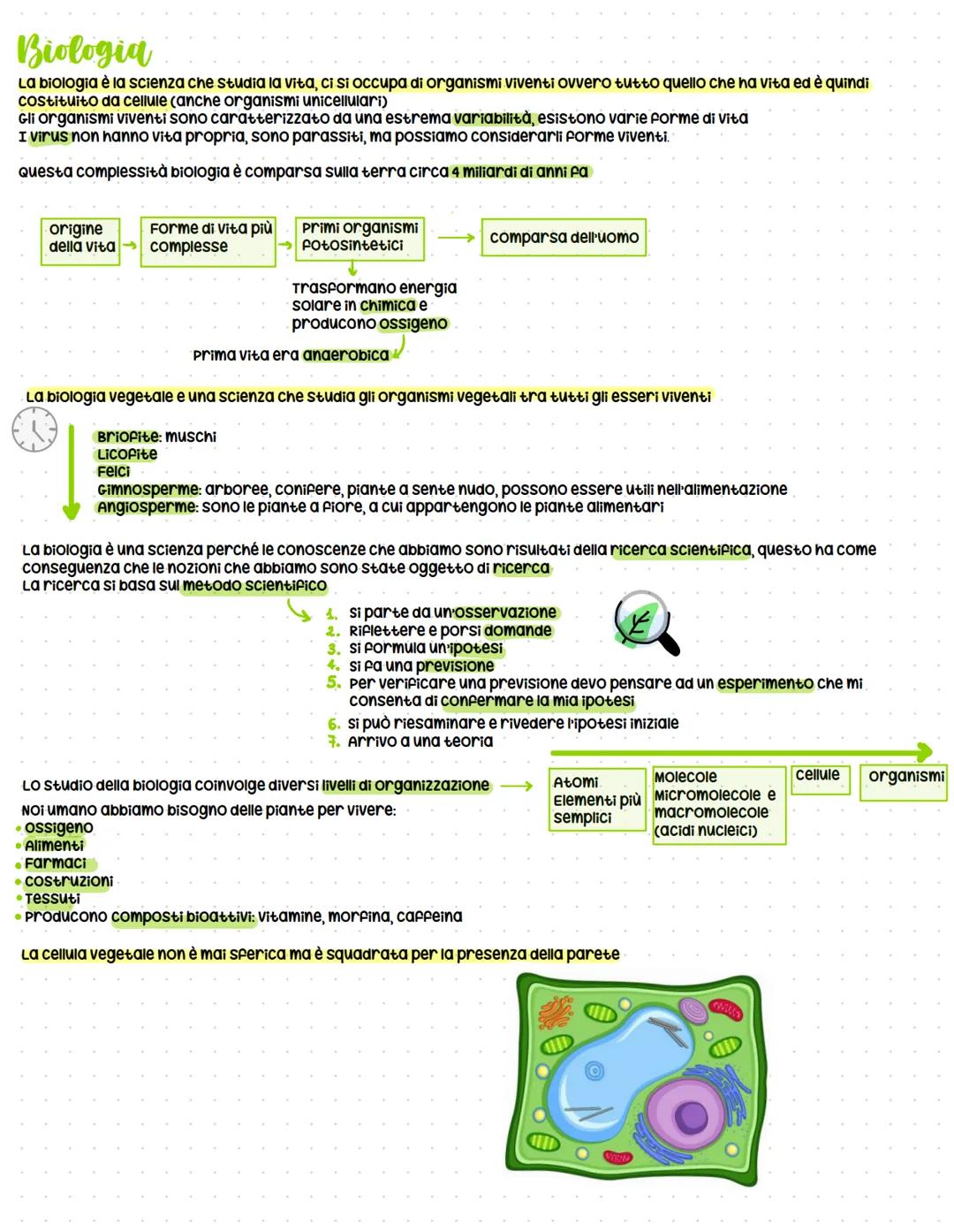 
<p>Le diverse ipotesi sull'origine della vita sono uno dei temi principali affrontati dalla biologia. Si ritiene che la complessità biologi