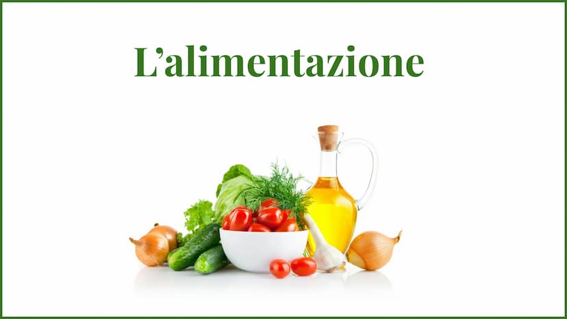 L'alimentazione La piramide
alimentare
La piramide alimentare è un
modello su cui è basata la
nostra alimentazione.
Alla base ci sono gli al