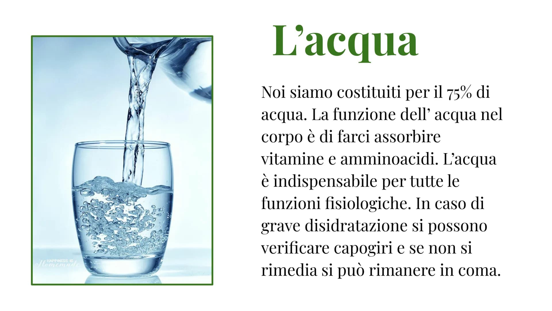 L'alimentazione La piramide
alimentare
La piramide alimentare è un
modello su cui è basata la
nostra alimentazione.
Alla base ci sono gli al
