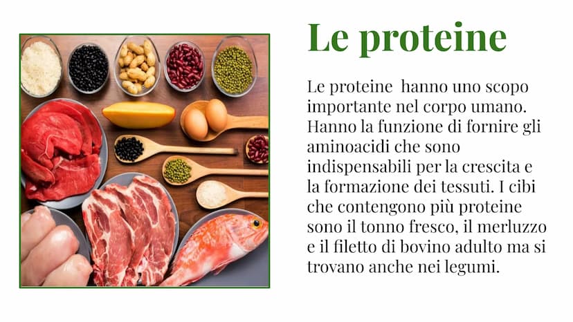 L'alimentazione La piramide
alimentare
La piramide alimentare è un
modello su cui è basata la
nostra alimentazione.
Alla base ci sono gli al