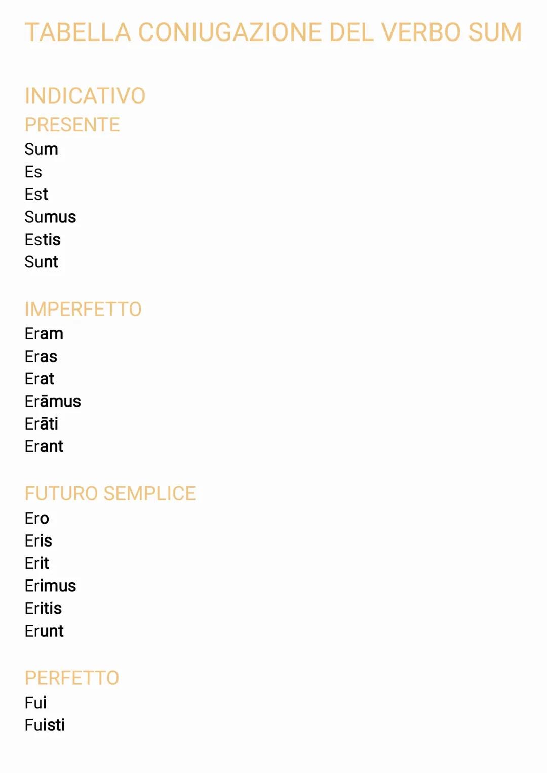 Latino, verbo sum