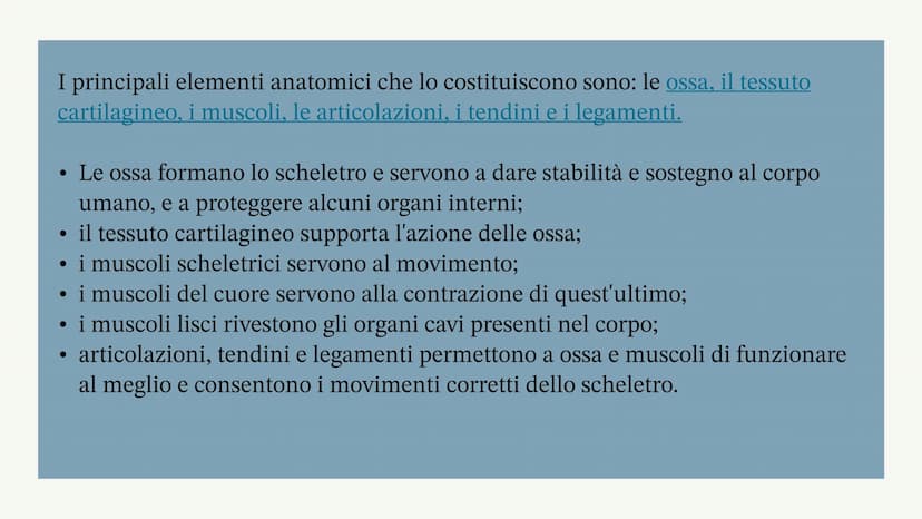L'apparato locomotore
Albisinni Laura COS'È
L'apparato locomotore sostiene il corpo
e protegge gli organi più delicati come il
cuore.
L'appa