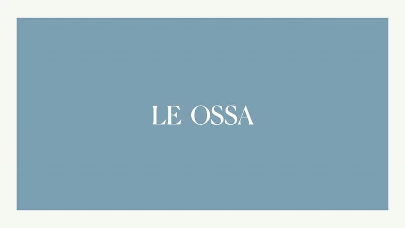 L'apparato locomotore
Albisinni Laura COS'È
L'apparato locomotore sostiene il corpo
e protegge gli organi più delicati come il
cuore.
L'appa
