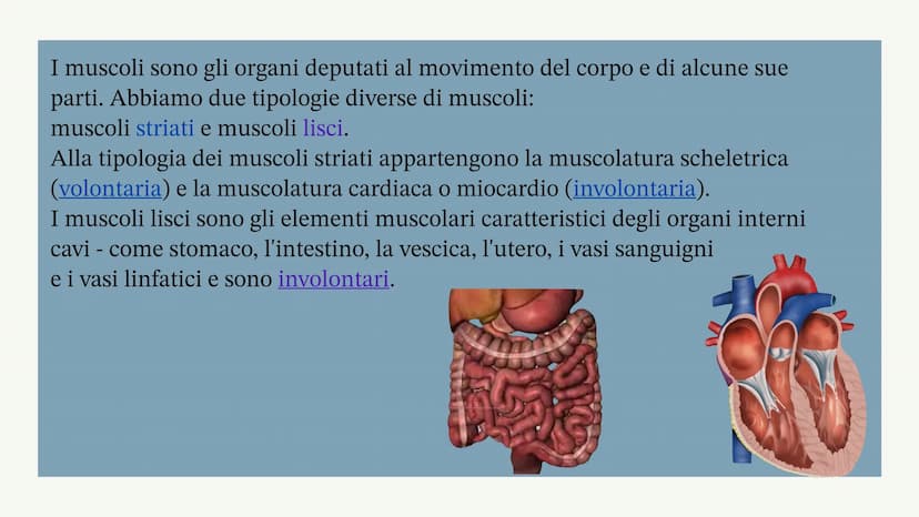 L'apparato locomotore
Albisinni Laura COS'È
L'apparato locomotore sostiene il corpo
e protegge gli organi più delicati come il
cuore.
L'appa