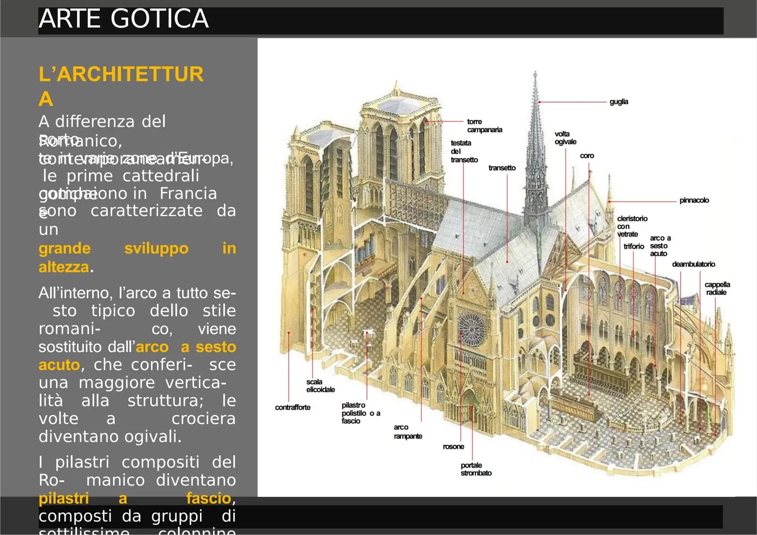 ARTE GOTICA
F
啊 ARTE GOTICA
IL NUOVO STILE
CHE VIENE DAL NORD
A partire dal XII secolo, in Europa si
forma-
no le grandi monarchie
nazionali