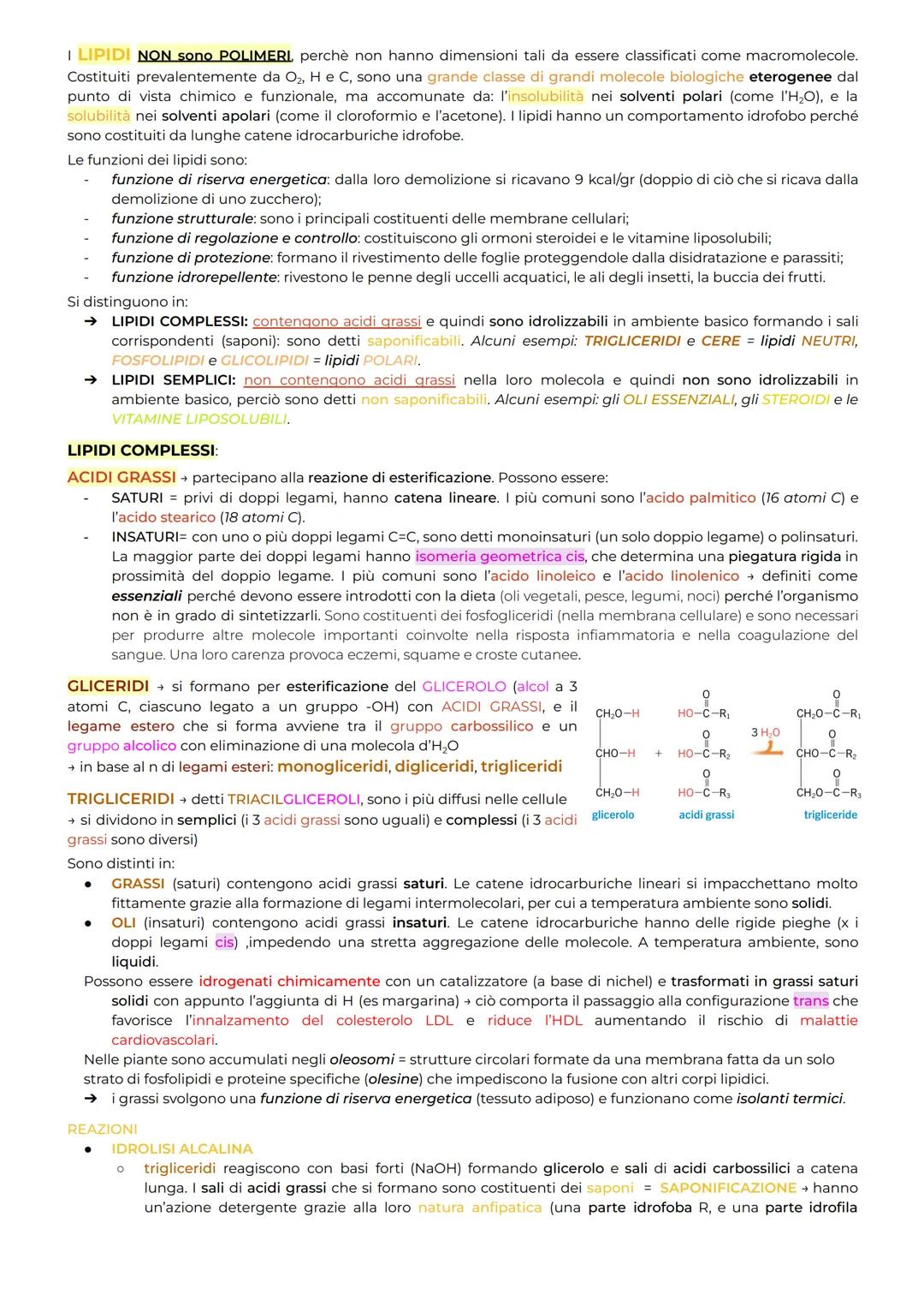I LIPIDI NON sono POLIMERI perchè non hanno dimensioni tali da essere classificati come macromolecole.
Costituiti prevalentemente da O₂, He 