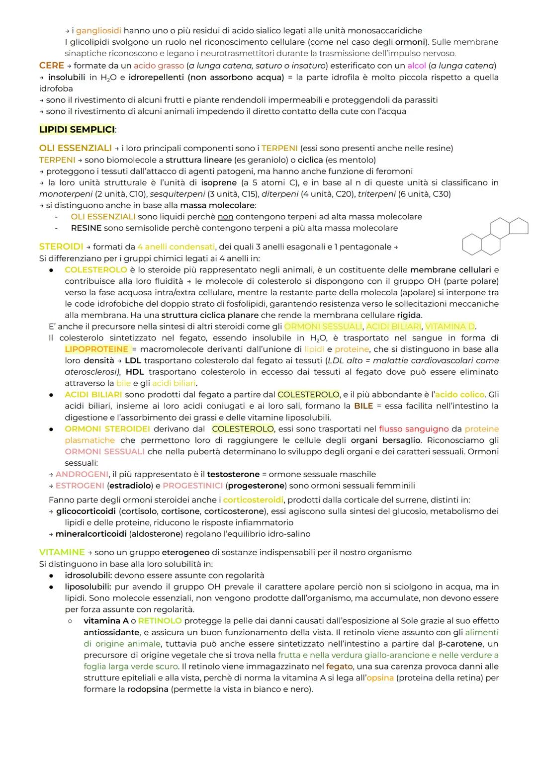 I LIPIDI NON sono POLIMERI perchè non hanno dimensioni tali da essere classificati come macromolecole.
Costituiti prevalentemente da O₂, He 