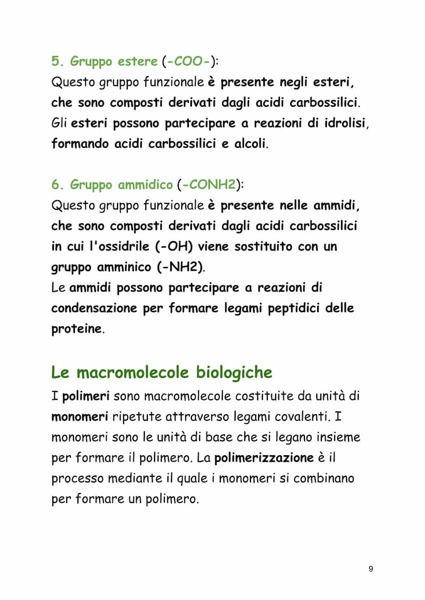 LE BIOMOLECOLE
Le biomolecole: le molecole della vita
Le biomolecole sono le molecole fondamentali che
costituiscono la base della vita.
Ess