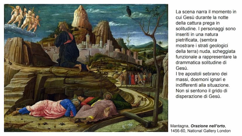 ●
●
●
Andrea Mantegna
1431-1506
Formazione presso la bottega di F. Squarcione (artista molto
discusso e appassionato arte antica), per sfrut