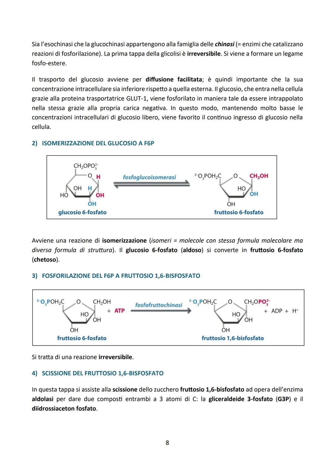 # LA GLICOLISI

Premessa:

La degradazione enzimatica delle principali biomolecole (carboidrati, proteine e lipidi) procede
attraverso una s