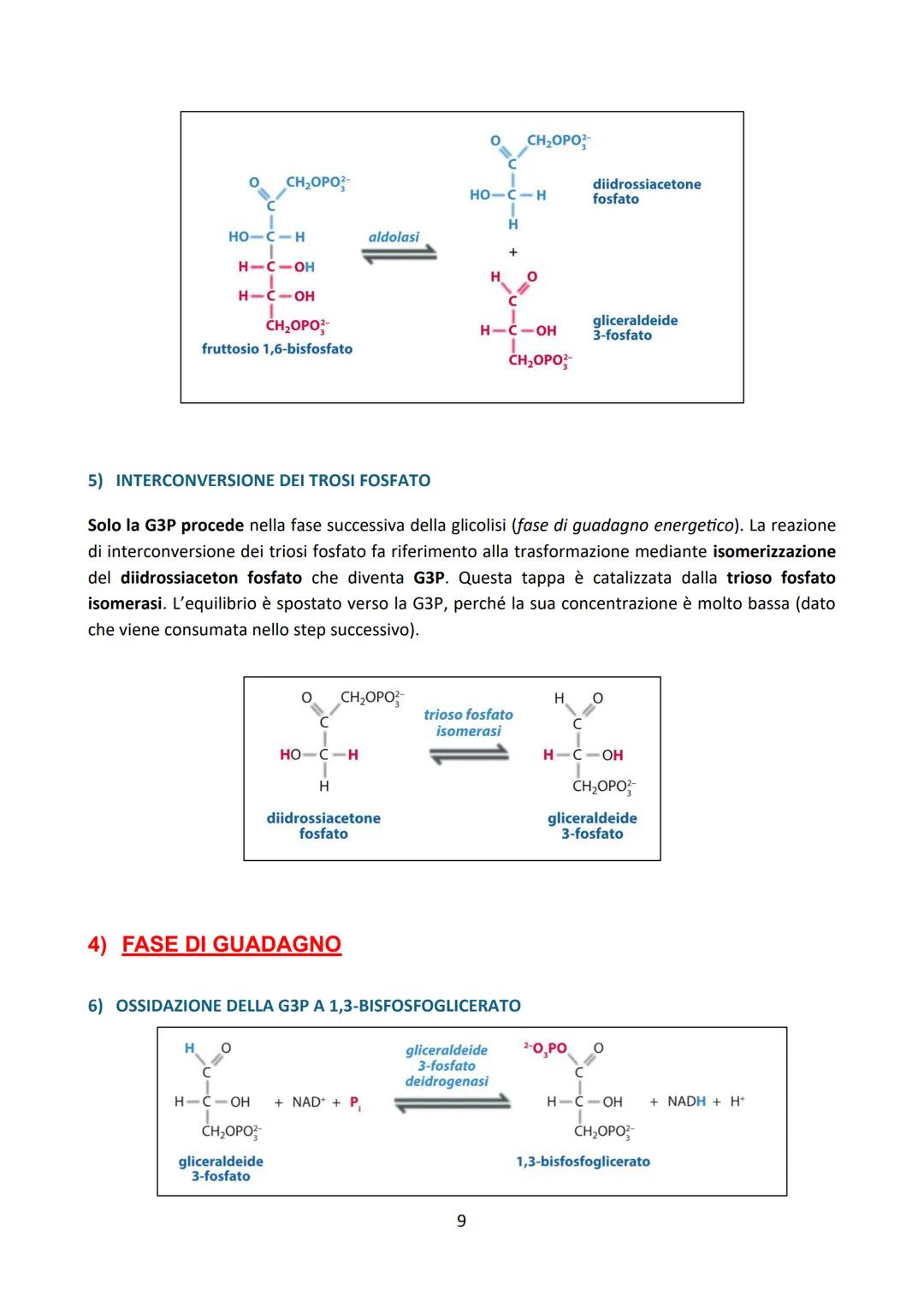# LA GLICOLISI

Premessa:

La degradazione enzimatica delle principali biomolecole (carboidrati, proteine e lipidi) procede
attraverso una s