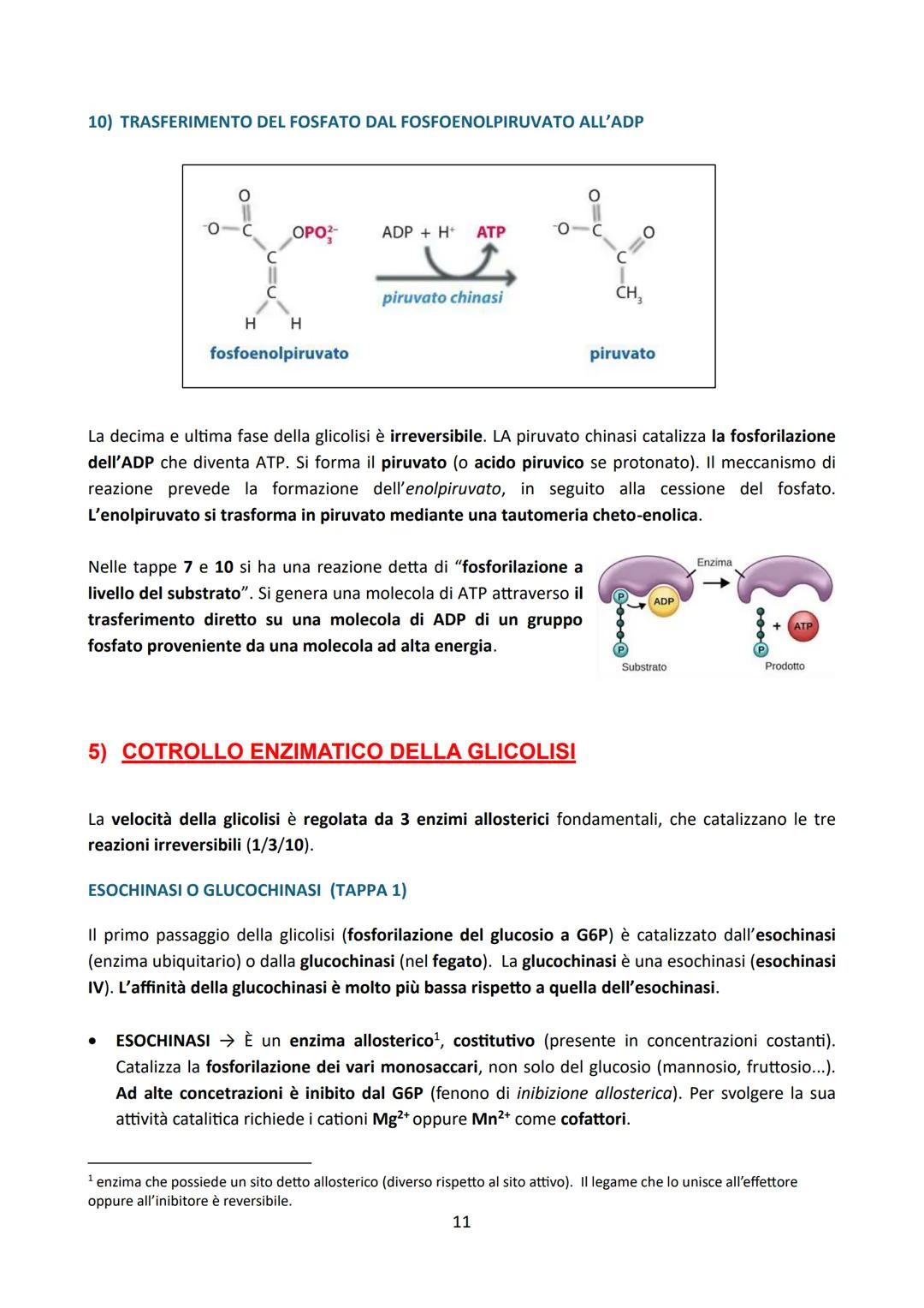 # LA GLICOLISI

Premessa:

La degradazione enzimatica delle principali biomolecole (carboidrati, proteine e lipidi) procede
attraverso una s