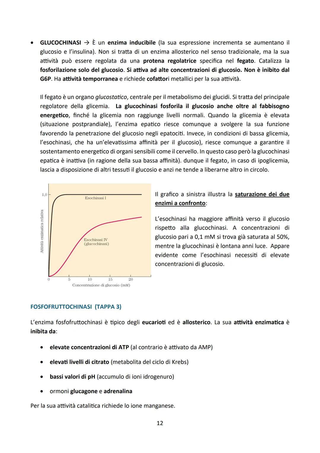# LA GLICOLISI

Premessa:

La degradazione enzimatica delle principali biomolecole (carboidrati, proteine e lipidi) procede
attraverso una s