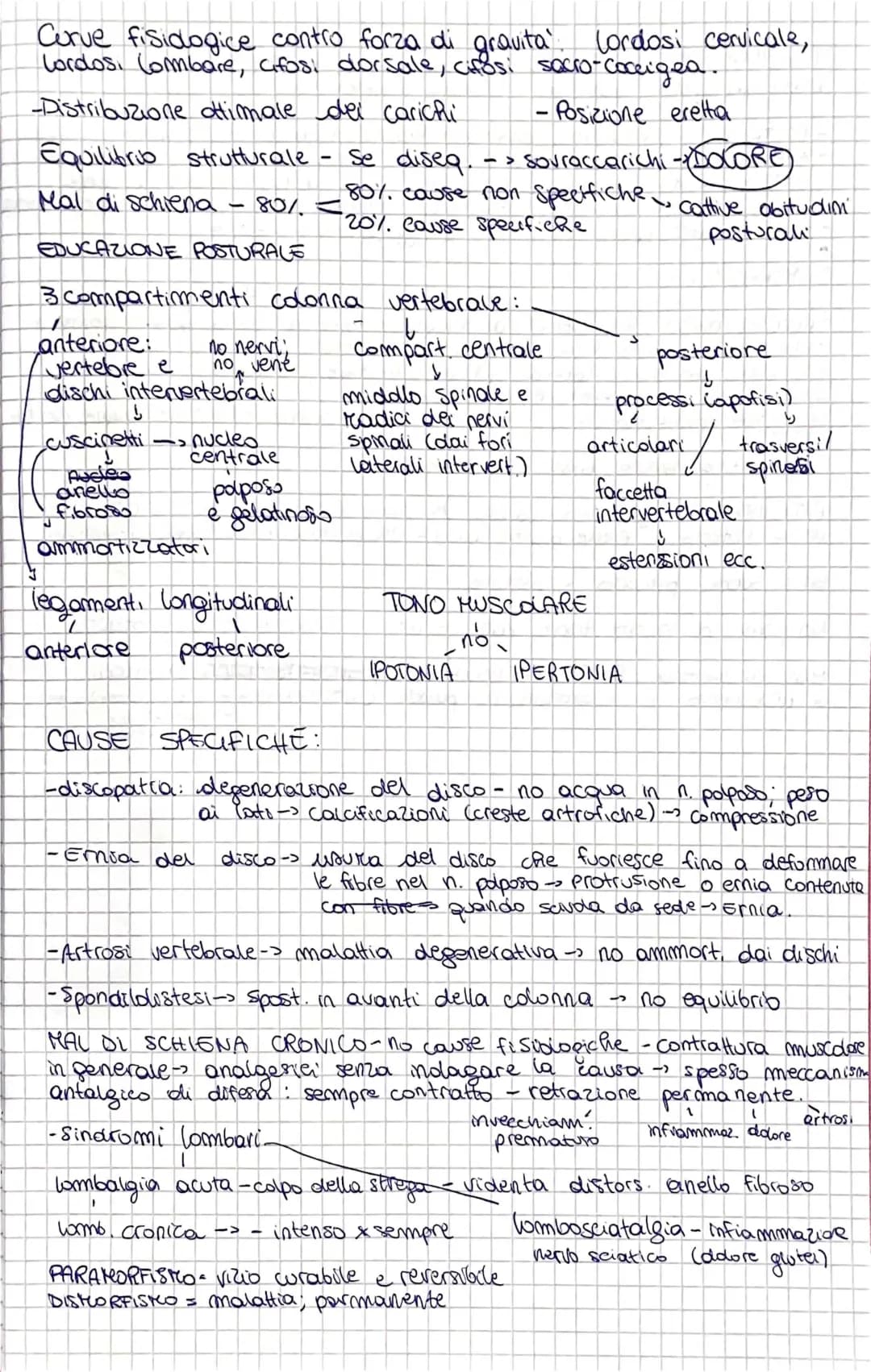 Tutto sul Mal di Schiena: Rimedio Immediato, Quando Preoccuparsi e Paramorfismi e Dismorfismi