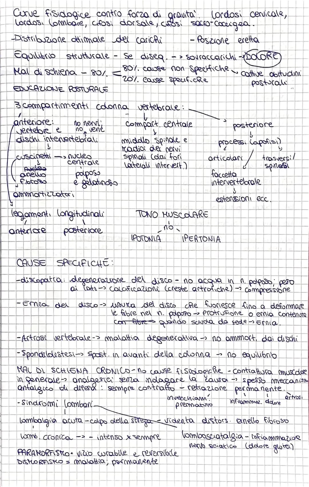 Curve fisidagice contro forza di gravita (ordosi cervicale,
Lordos. Combare, cifosi dorsale, cifosi sacro- - Coceigea.
- Posizione eretta
-D