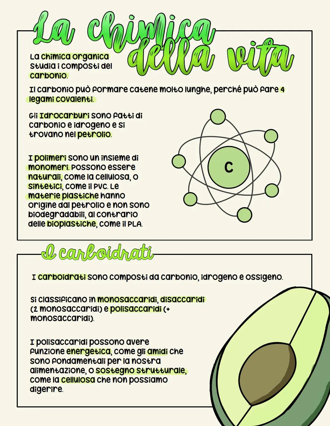 # La chiplica

La chimica organica
studia i composti del
carbonio.

# della vifa

Il carbonio può formare catene molto lunghe, perché può fa