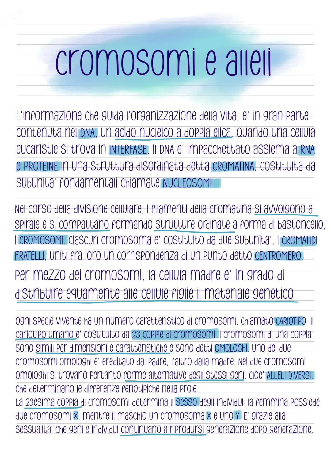 La mitosi
-COS'e'?
E' la divisione di una cellula in due cellule
figlie identiche, e' preceduta dalla
duplicazione del DNA ed e' distinta in
