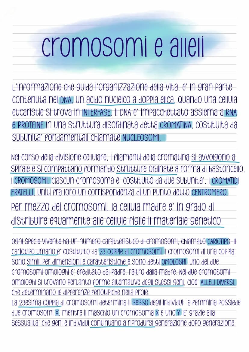 La mitosi
-COS'e'?
E' la divisione di una cellula in due cellule
figlie identiche, e' preceduta dalla
duplicazione del DNA ed e' distinta in